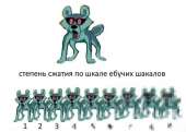 41