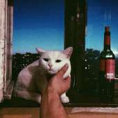 88
