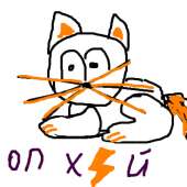 51