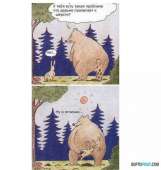 62