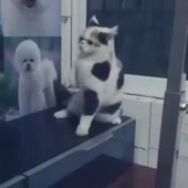 715