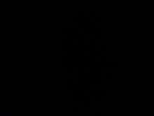 84