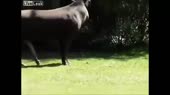 1212