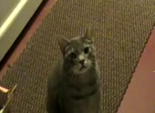 1405