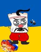 41