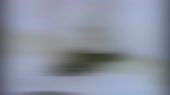 10093