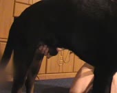8531