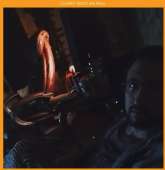 51
