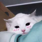 492
