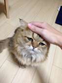 167