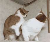 774