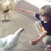 588
