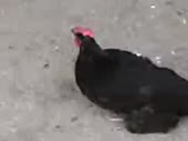 1641
