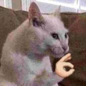 74