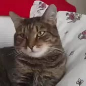 2175