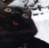 42
