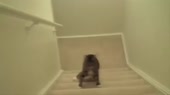 1372