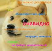 323