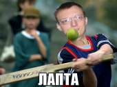 43