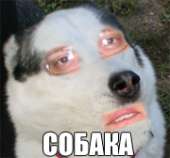 47
