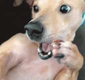 3791