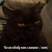 138