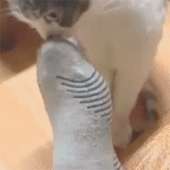 1342