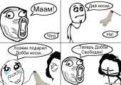 66