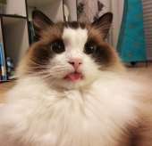 48