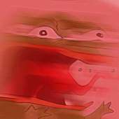 43