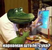 55