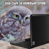 56