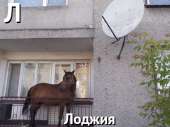 165