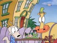 36