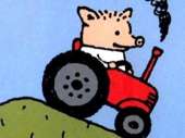 18