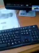 446