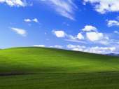 565