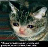 58