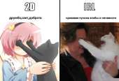 51