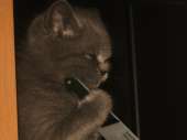 177