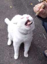 64