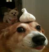 184
