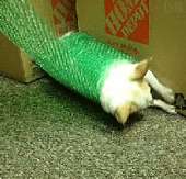 2381