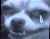 246