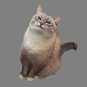171