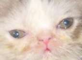186