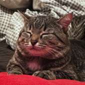219