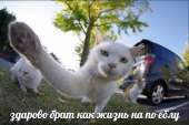 59