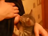 4729