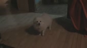 2125